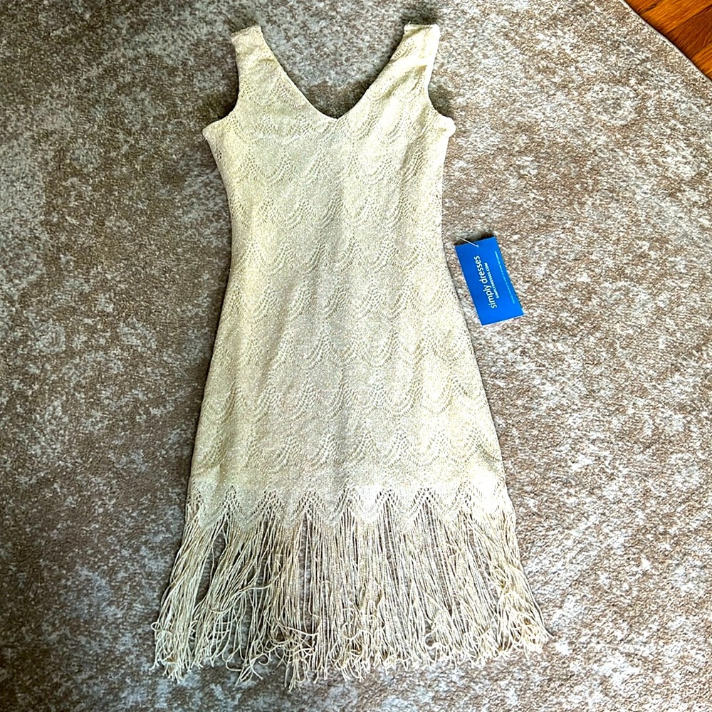 Simply Dresses Fringe Dress
